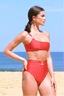 SUZU Bikini Bottoms HAZEL High-Waisted Bikini Bottoms - Cosmo